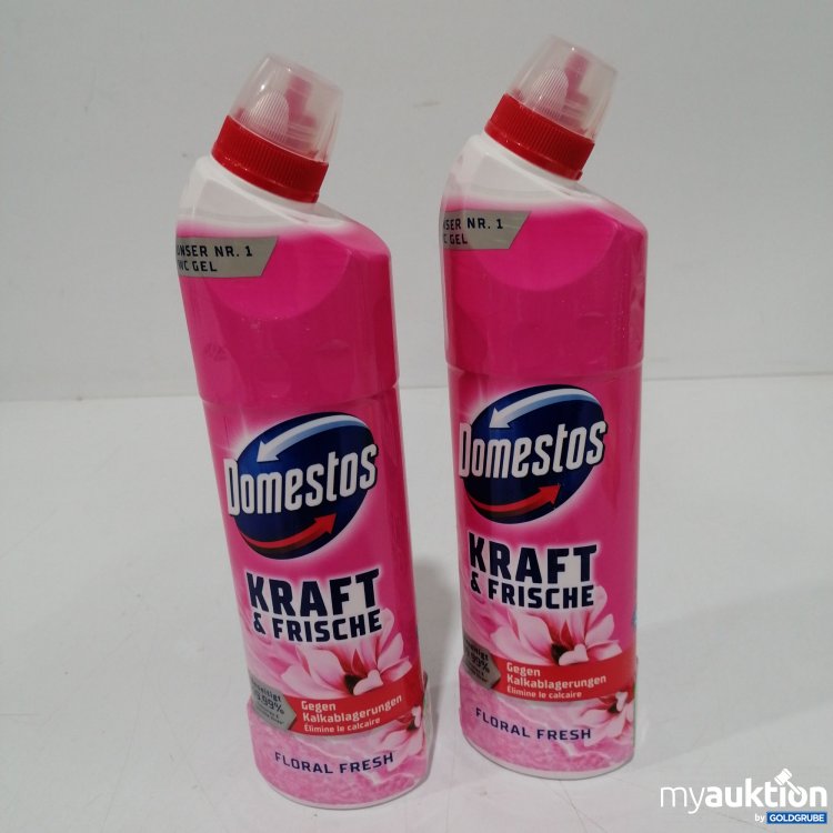 Artikel Nr. 886824: Domestos Kraft & Frische WC Gel 2x750ml