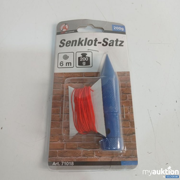 Artikel Nr. 919825: Senklot-Satz 200 g