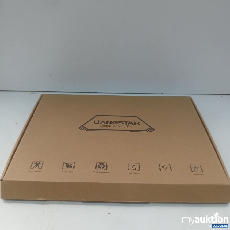 Artikel Nr. 996829 Artikel Nr. 996829: Liangstar Laptop Cooling Pad