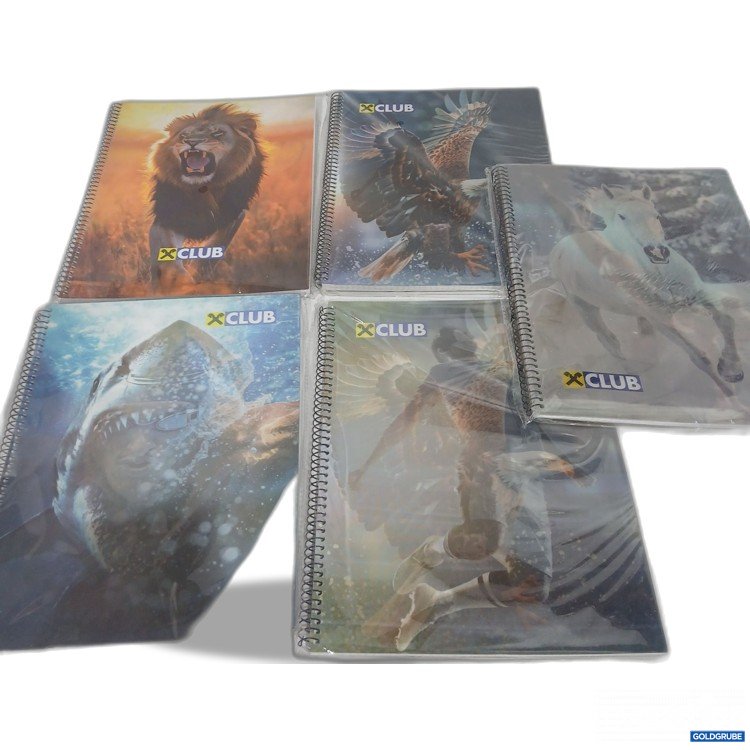 Artikel Nr. 891830 Artikel Nr. 891830: A4 Blöcke kariert verschiedene Motive