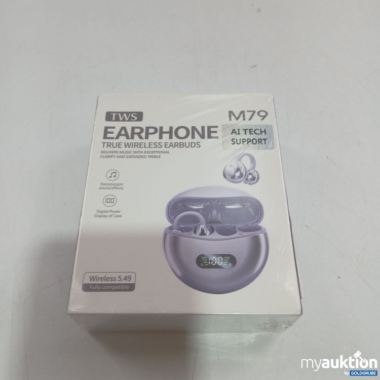 Artikel Nr. 520832 Artikel Nr. 520832: TWS Earphone M79