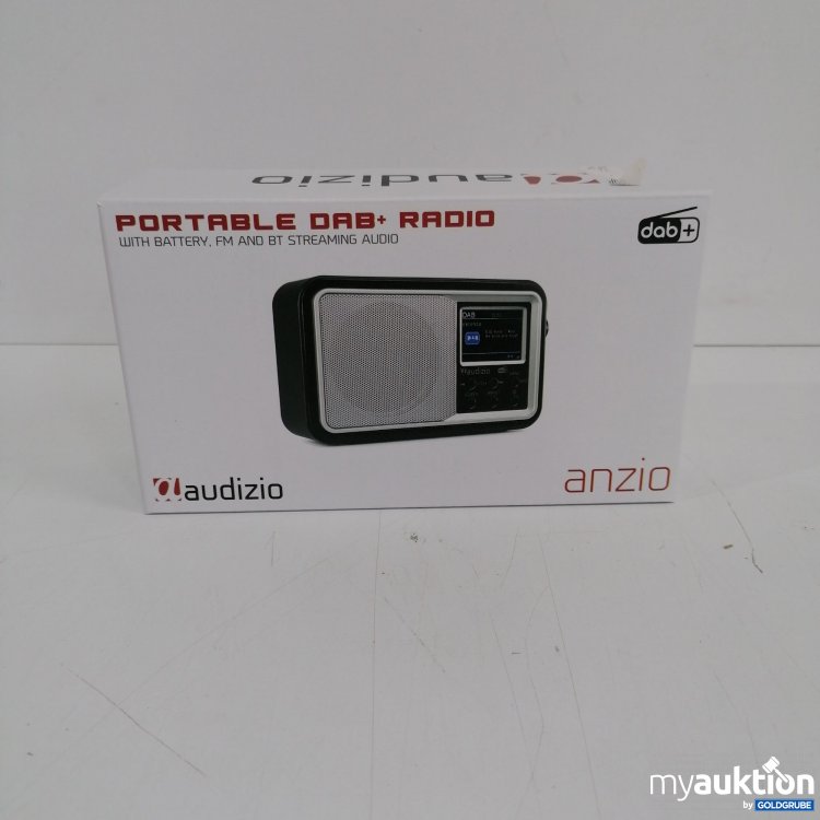 Artikel Nr. 399834 Artikel Nr. 399834: Audizio Anzio Portable DAB+Radio
