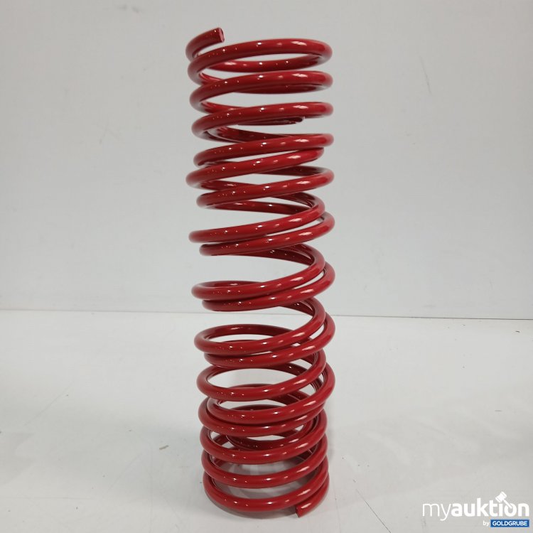 Artikel Nr. 896834: EVOVWO26HA  Metallfeder