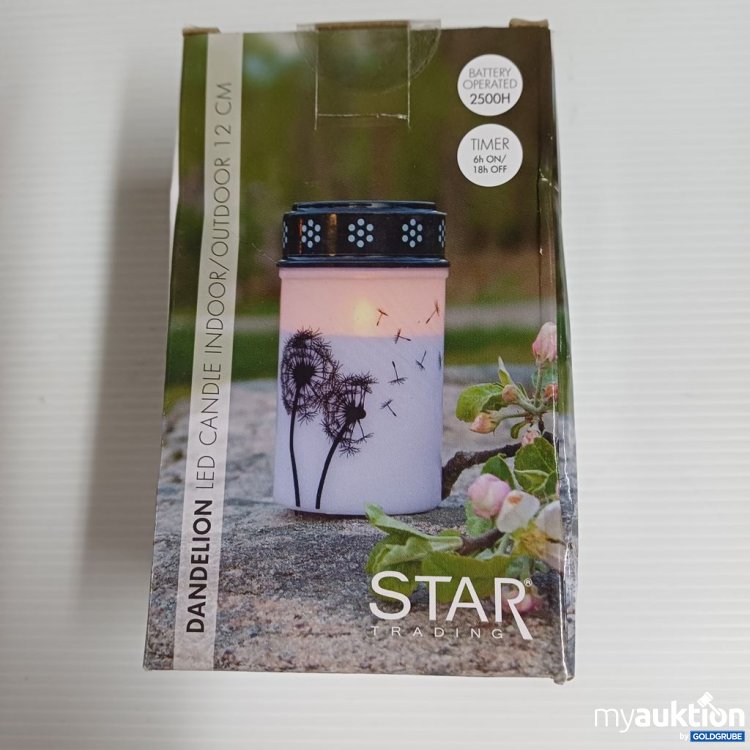 Artikel Nr. 921834: STAR TRADING LED Candle Indoor/Outdoor 12 cm