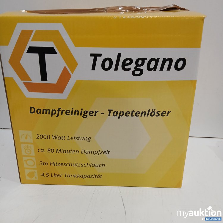 Artikel Nr. 950834: Tolegano Dampfreiniger-Tapetenlöser 2000Watt