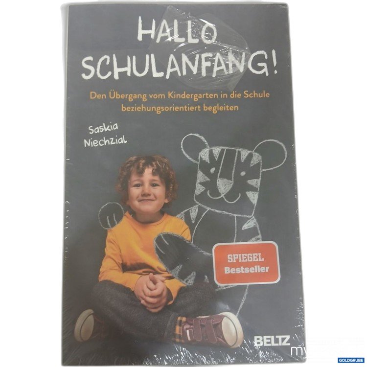 Artikel Nr. 981834: BELTZ Hallo Schulanfang! Den Übergang vom Kindergarten in die Schule beziehungsorientiert begleiten