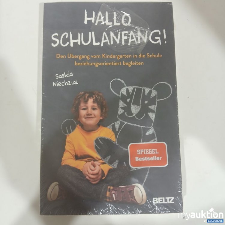 Artikel Nr. 981834: BELTZ Hallo Schulanfang! Den Übergang vom Kindergarten in die Schule beziehungsorientiert begleiten