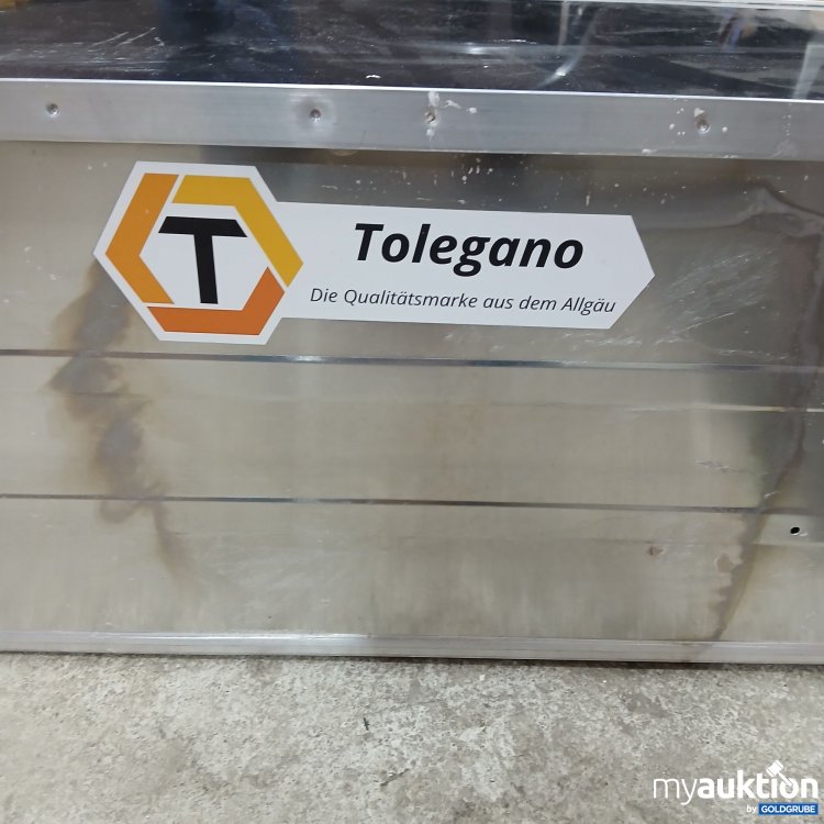 Artikel Nr. 950835: Tolegano Alu Transportbox ca 45x87×39cm