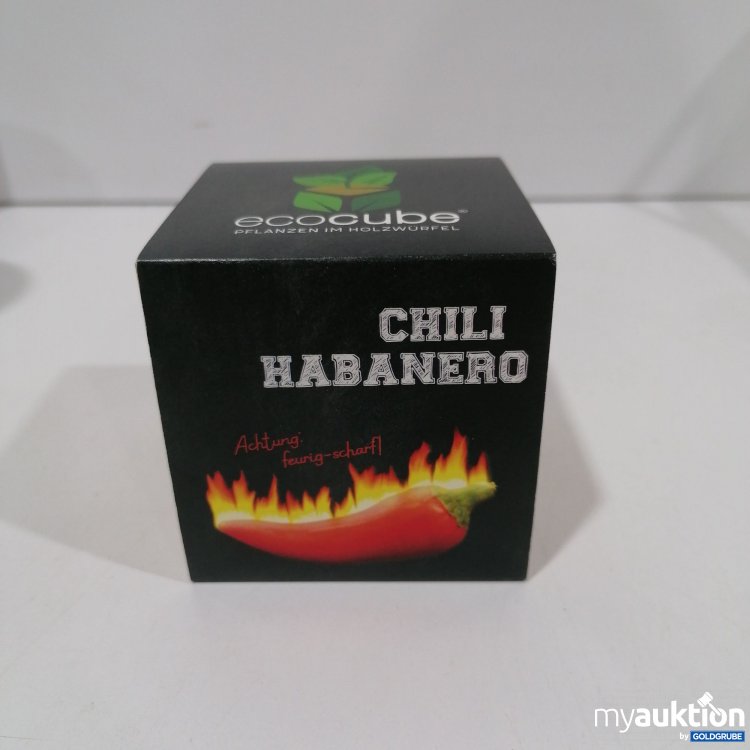 Artikel Nr. 881836: Ecocube Pflanzen im Holzwürfel Chili Habanero