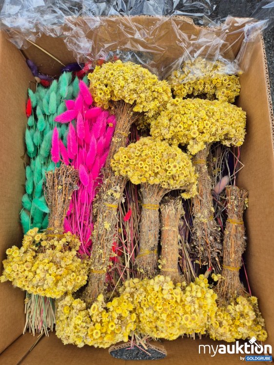 Artikel Nr. 934837 Artikel Nr. 934837: Karton voll mit Trockenblumen