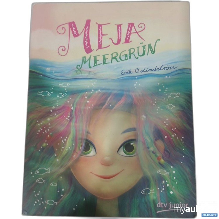 Artikel Nr. 981837: dtv junior Meja Meergrün Buch