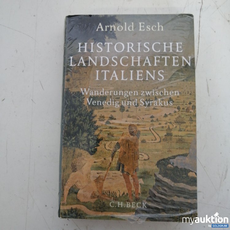 Artikel Nr. 719839: Arnold Esch Historische Landschaften Italiens 