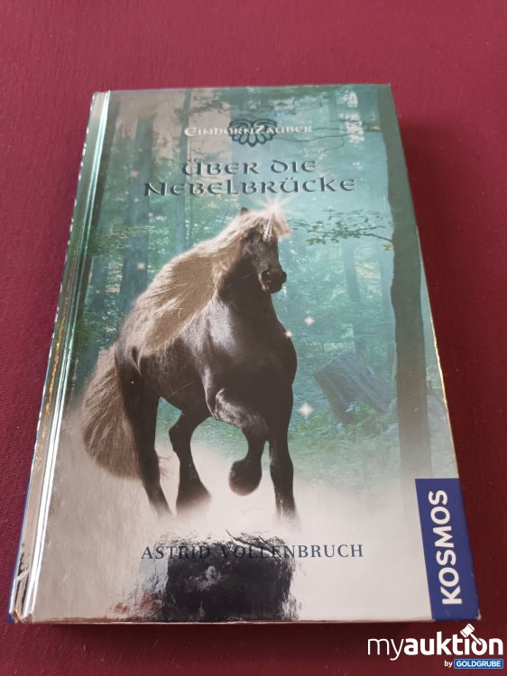 Artikel Nr. 999840 Artikel Nr. 999840: Über die Nebelbrücke