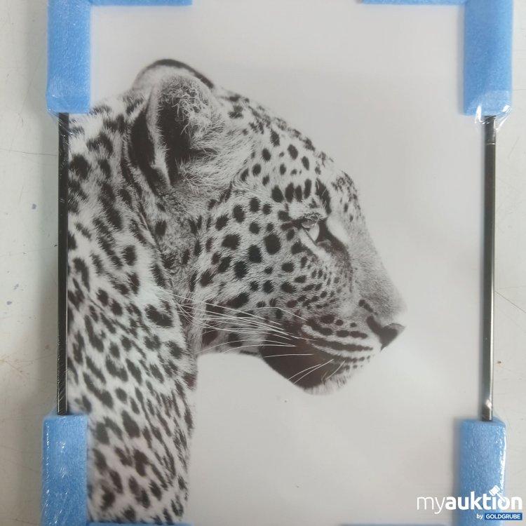 Artikel Nr. 991841: Leopard Bild mit schwarzen Bilderrahmen 40×30 