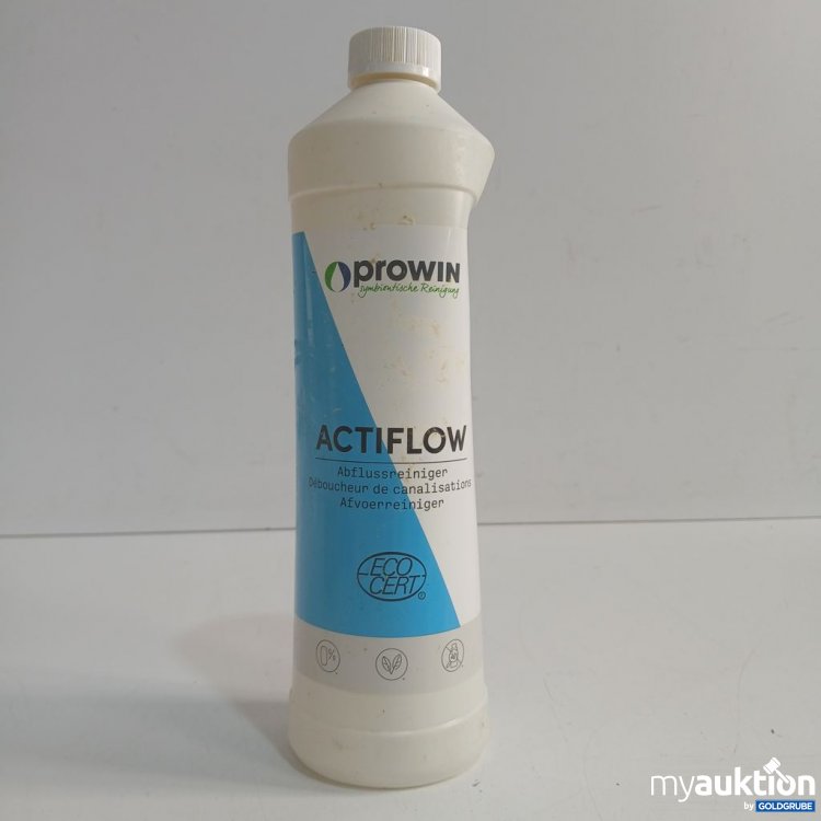 Artikel Nr. 919844: prowin ACTIFLOW Abflussreiniger 1000ml
