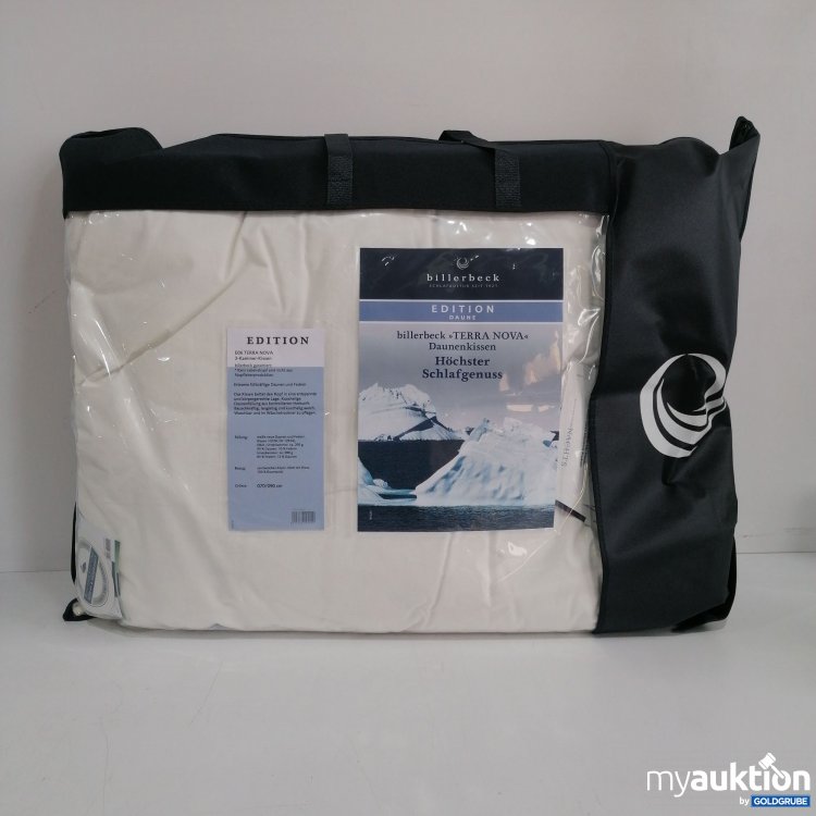 Artikel Nr. 832848: Billerbeck Edition Daunenkissen Terra Nova 70x90 cm
