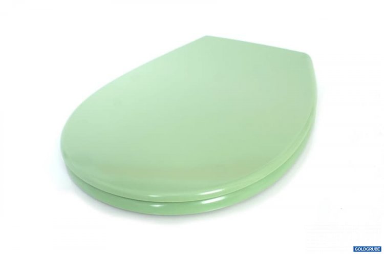 Artikel Nr. 344849: WC Sitz Verosan Duroplast  green
