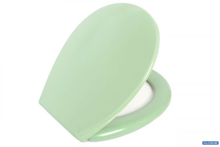 Artikel Nr. 344849: WC Sitz Verosan Duroplast  green