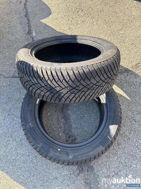 Artikel Nr. 445849 Artikel Nr. 445849: Berlin Tires Allseason 1 225/55 R17 101H XL