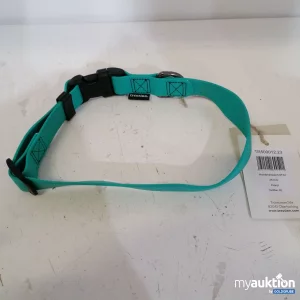 Auktion Treusinn Haustier-Halsband