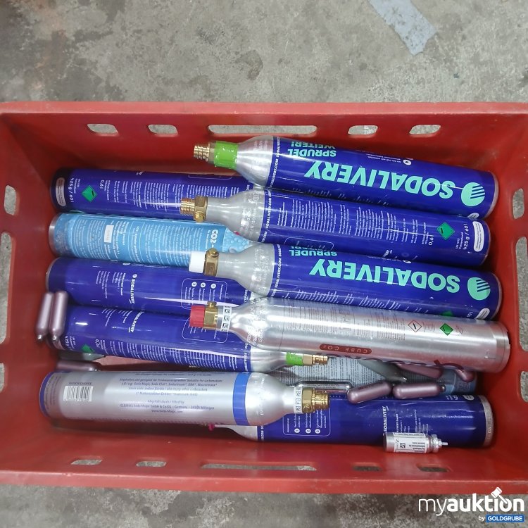 Artikel Nr. 962854: Diverse CO2 Zylinder Flaschen 15Stk  