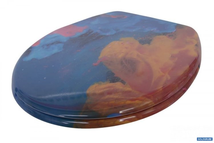 Artikel Nr. 344857: WC Sitz Verosan Duroplast  Kunst