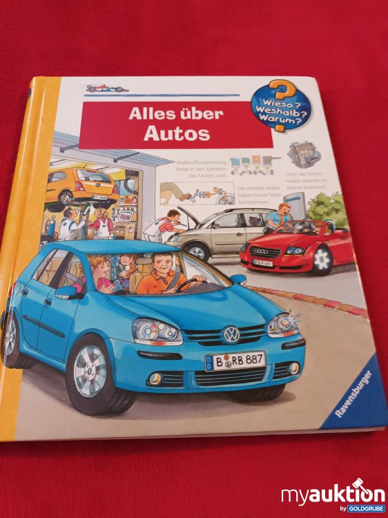 Artikel Nr. 927859: Großes Wieso, Weshalb, Warum Buch