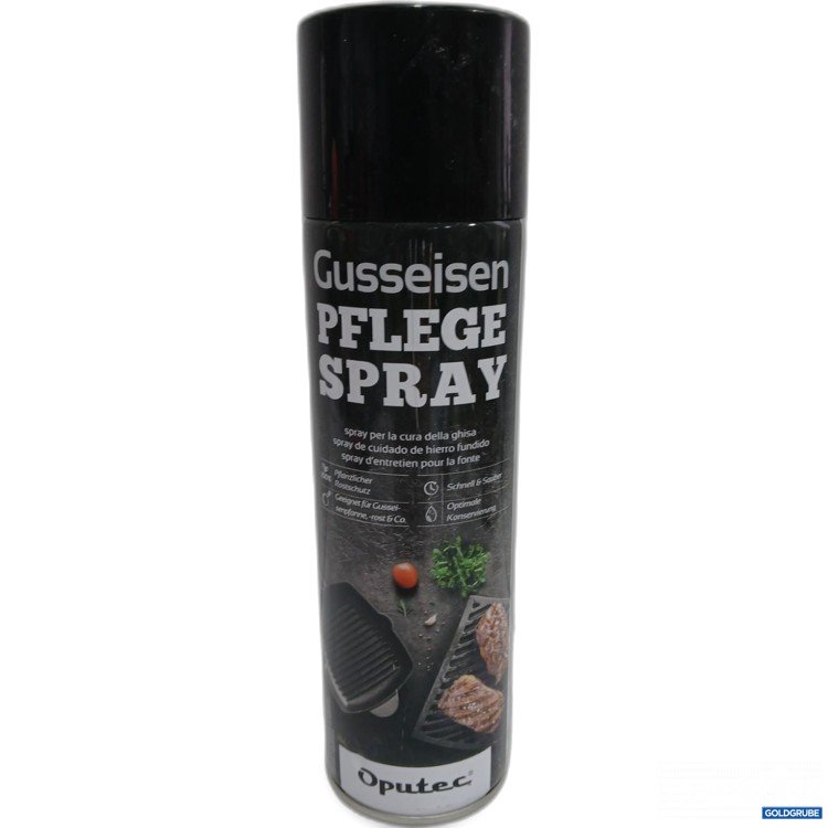 Artikel Nr. 460862 Artikel Nr. 460862: Oputec Gusseisen-Pflegespray 500ml