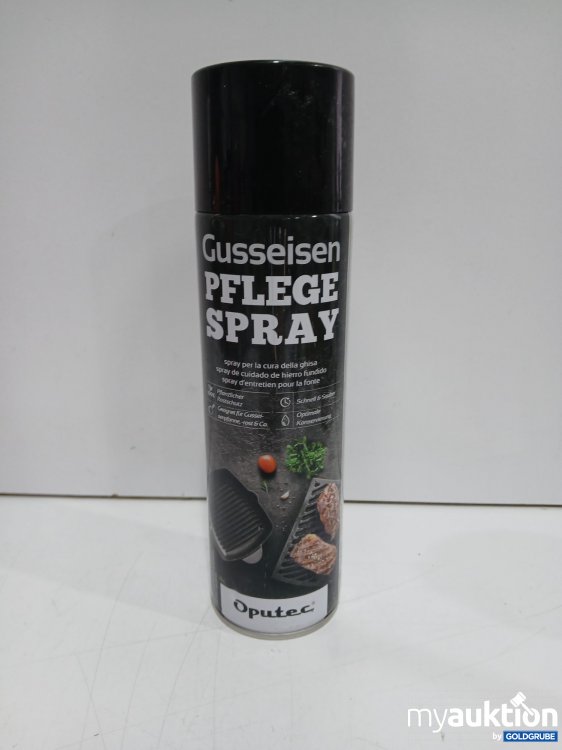 Artikel Nr. 460862 Artikel Nr. 460862: Oputec Gusseisen-Pflegespray 500ml