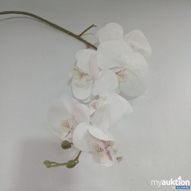Artikel Nr. 839863 Artikel Nr. 839863: Künstliche Phalaenopsis Orchidee Dekoration