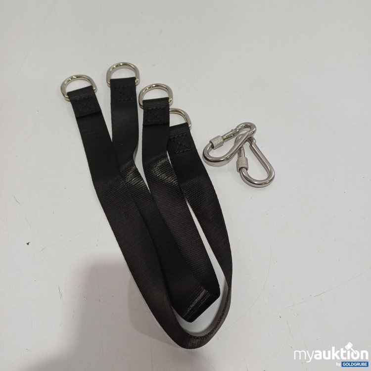 Artikel Nr. 894863: Gurtsysteme mit Karabinern