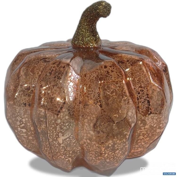 Artikel Nr. 955866: Smart Garden Deko Kürbis mit Lichterkette 