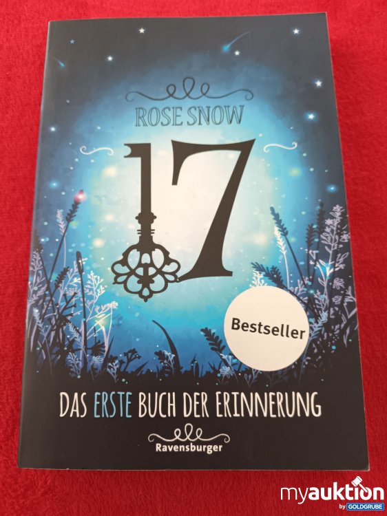 Artikel Nr. 907867: 17, Das erste Buch der Erinnerungen 