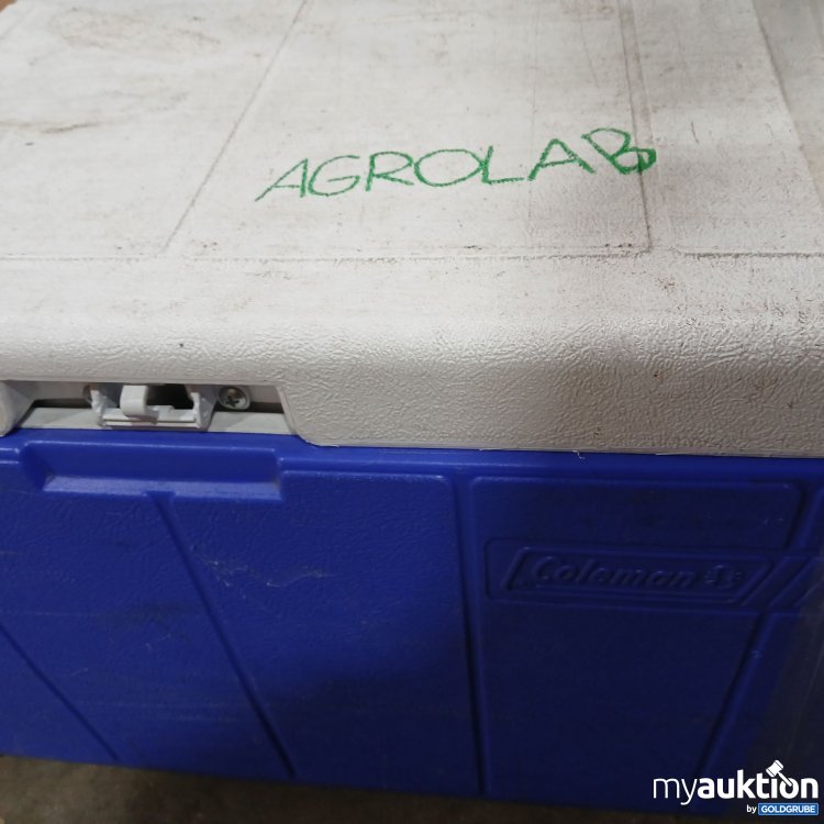 Artikel Nr. 951872: Thermo Scientific Ionenaustausch Patrone mit Transport Box 