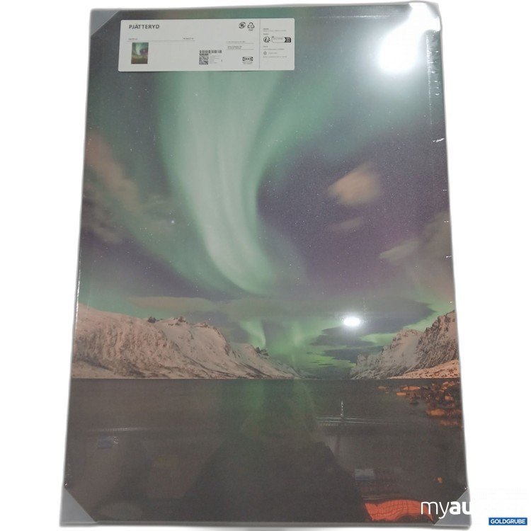 Artikel Nr. 899873: Ikea Pjätteryd Bild 50x70cm 405.599.39 