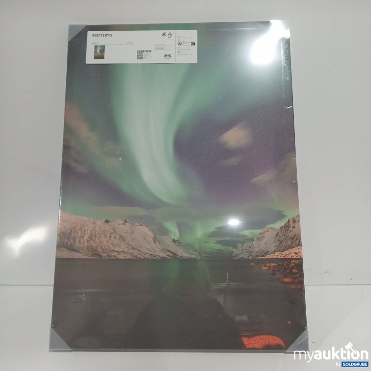 Artikel Nr. 899873: Ikea Pjätteryd Bild 50x70cm 405.599.39 