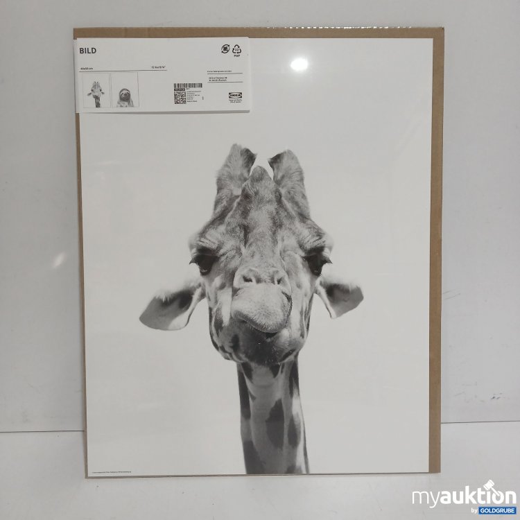 Artikel Nr. 899874: Ikea Bild 40x50cm 105.274.26