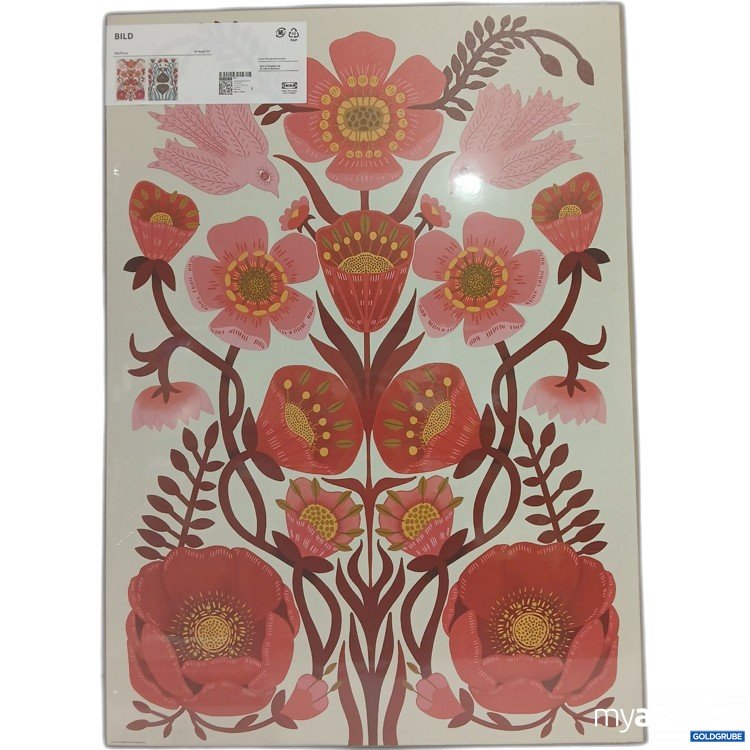 Artikel Nr. 899875: Ikea Bild 50x70cm 205.598.36 