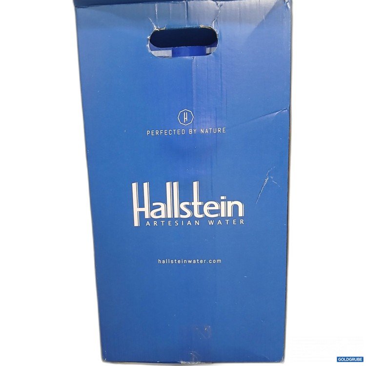 Artikel Nr. 888876: Hallstein Artesian Water ca. 18L 