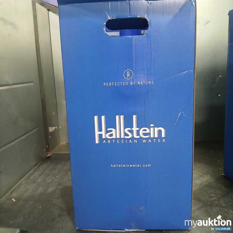 Artikel Nr. 888876: Hallstein Artesian Water ca. 18L 
