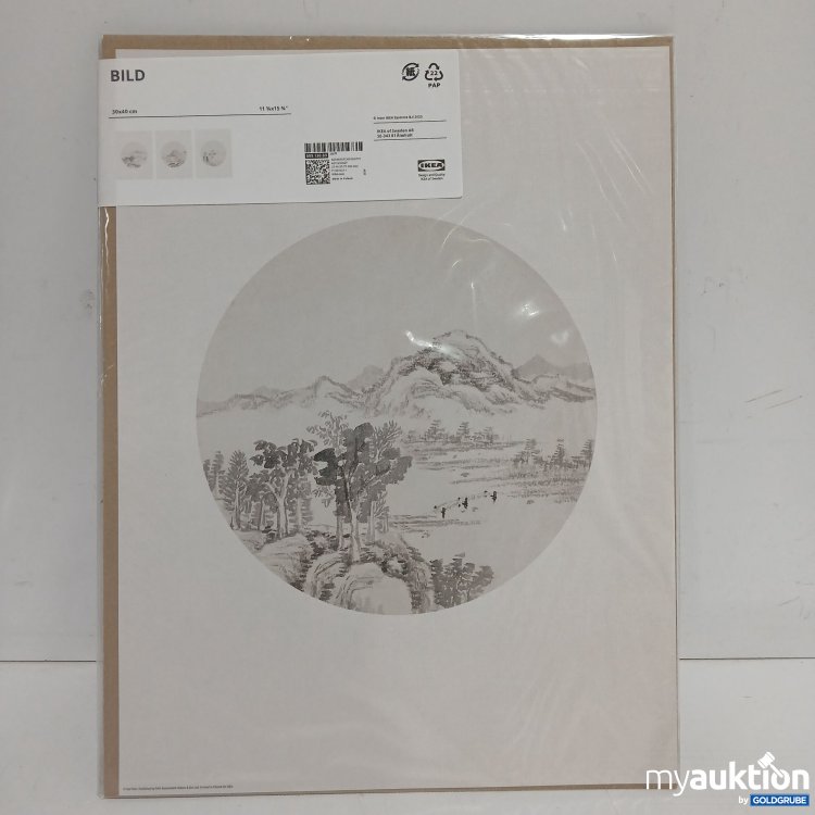 Artikel Nr. 899876 Artikel Nr. 899876: Ikea Bild 30x40cm 505.130.69