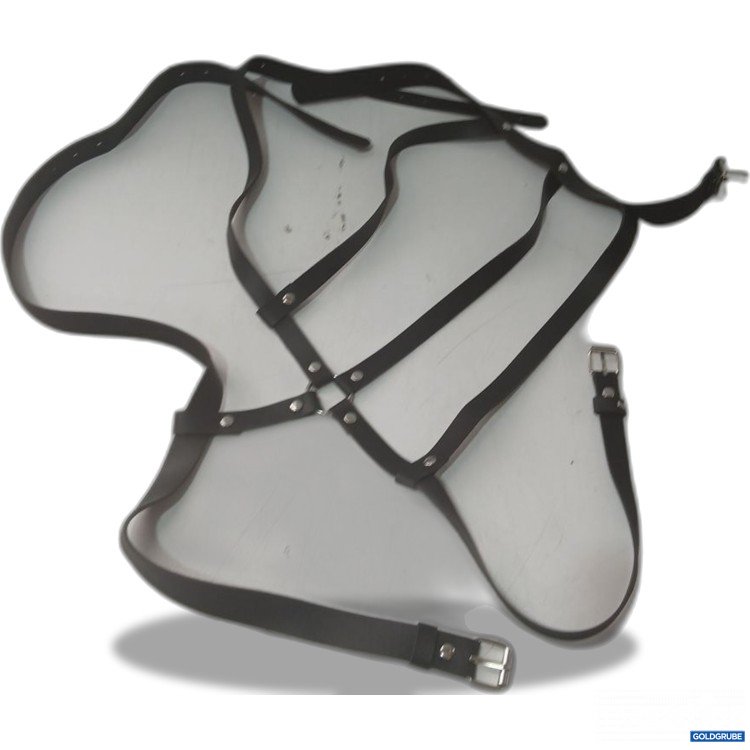 Artikel Nr. 930876 Artikel Nr. 930876: Diverses schwarzes Leder-Harness mit Schnallen und Druckknöpfen