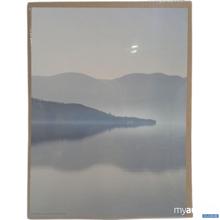 Artikel Nr. 899877 Artikel Nr. 899877: Ikea Bild 30x40cm 004.418.76