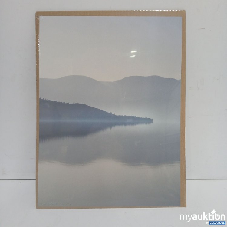 Artikel Nr. 899877 Artikel Nr. 899877: Ikea Bild 30x40cm 004.418.76