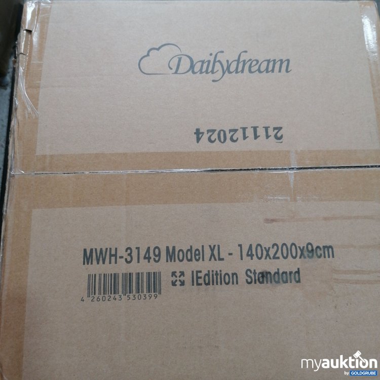 Artikel Nr. 859878 Artikel Nr. 859878: Dailydream MWH-3149 XL, 140x200x9 cm