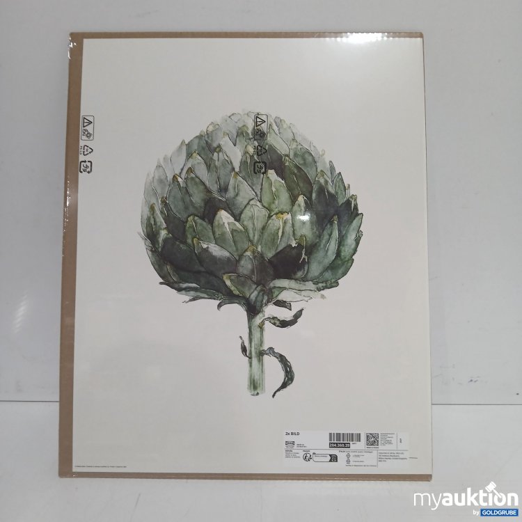 Artikel Nr. 899879: Ikea Bild 40x50cm 204.360.39 