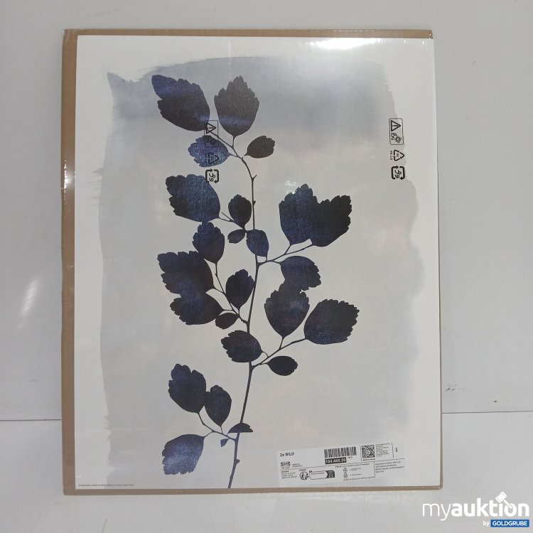 Artikel Nr. 899880: Ikea Bild 40x50cm 104.469.20 