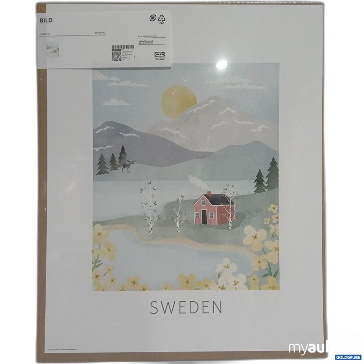 Artikel Nr. 899881: Ikea Bild 40x50cm 305.816.53