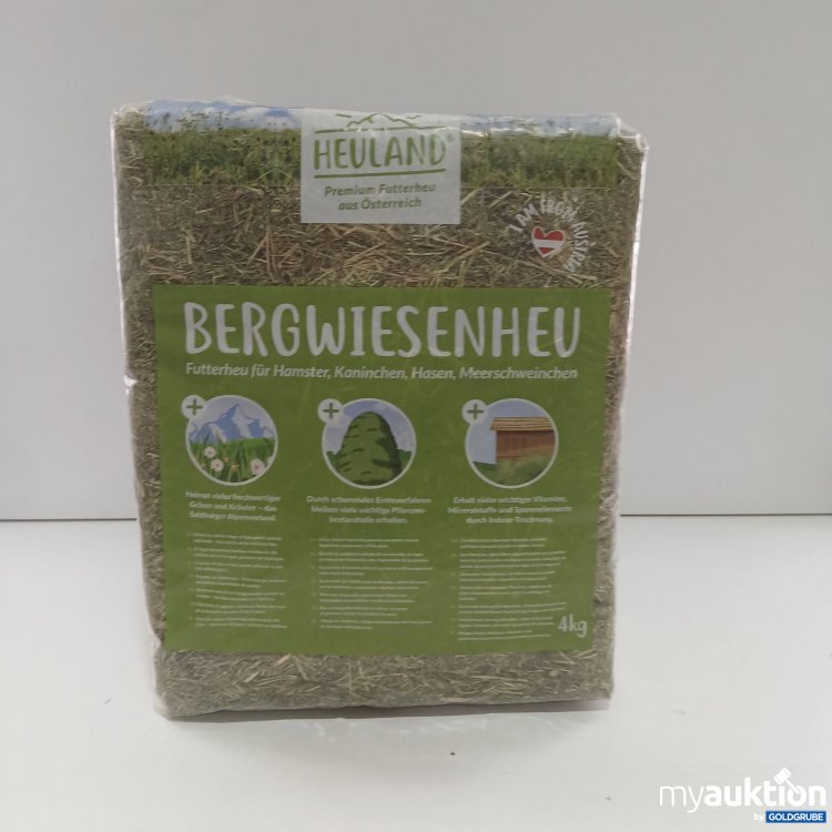 Artikel Nr. 923881: Manga, Icon