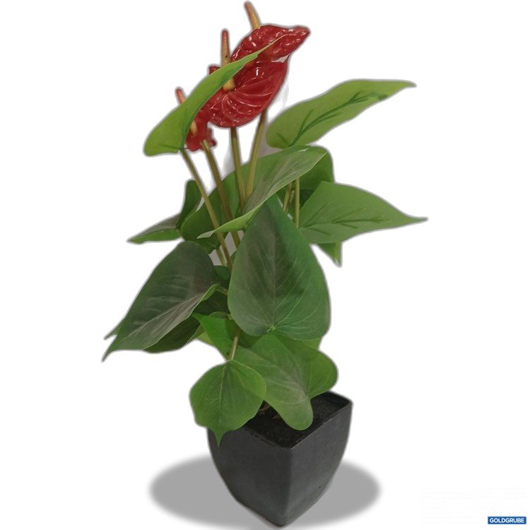 Artikel Nr. 963881 Artikel Nr. 963881: Kunstpflanze Anthurium mit Topf
